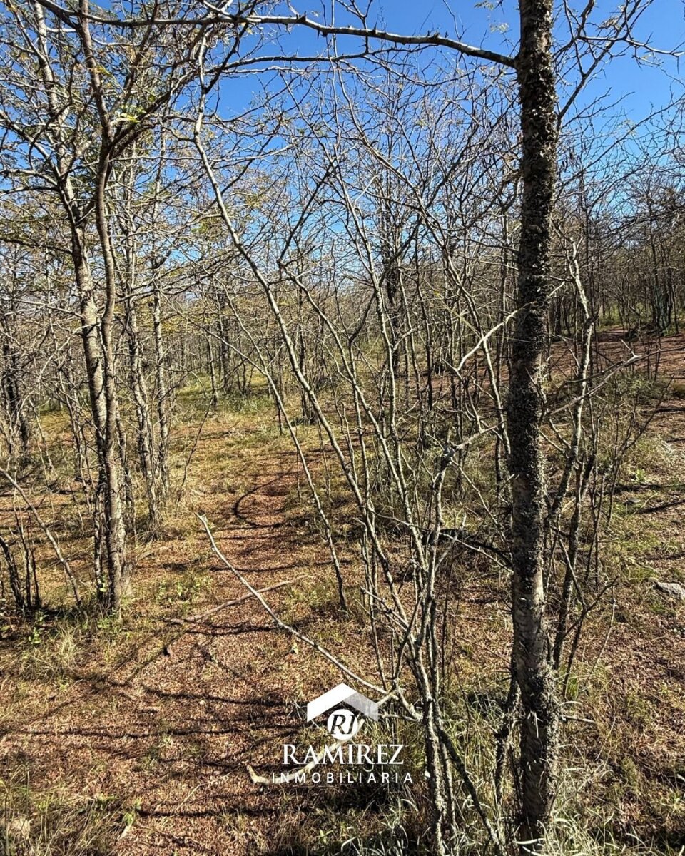 LOTE EN VENTA – SAN IGNACIO (LT99) - Imagen 5