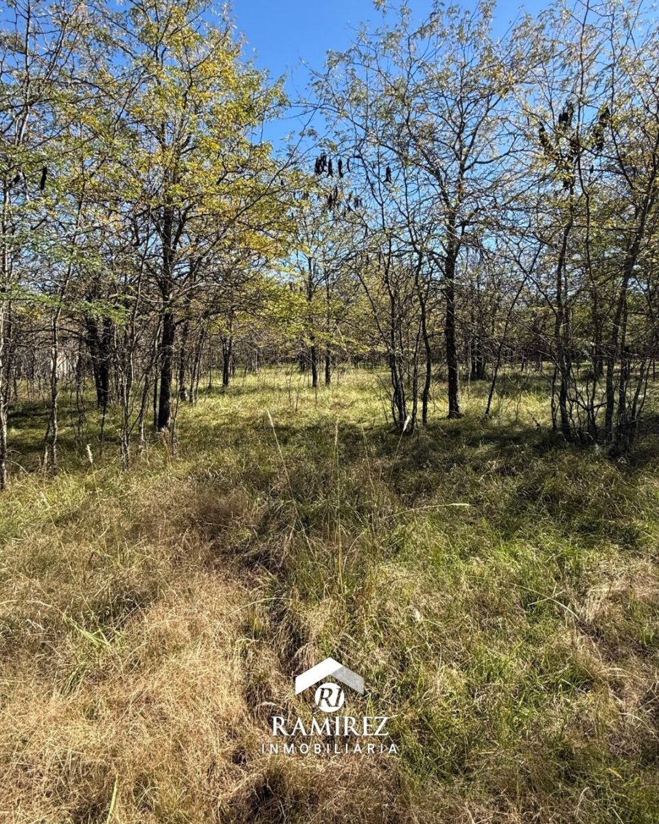 LOTE EN VENTA – SAN IGNACIO (LT98) - Imagen 3