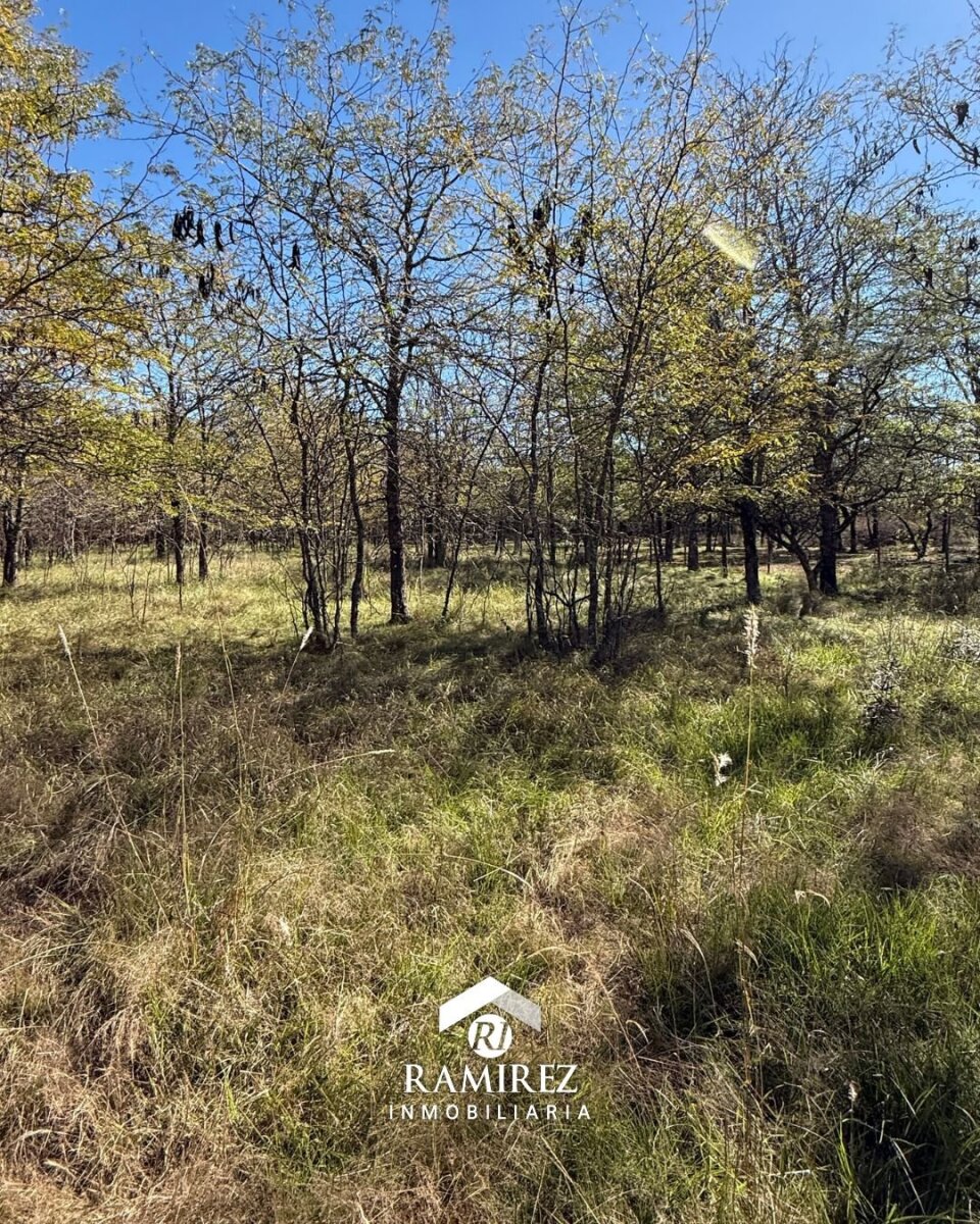 LOTE EN VENTA – SAN IGNACIO (LT98) - Imagen 2