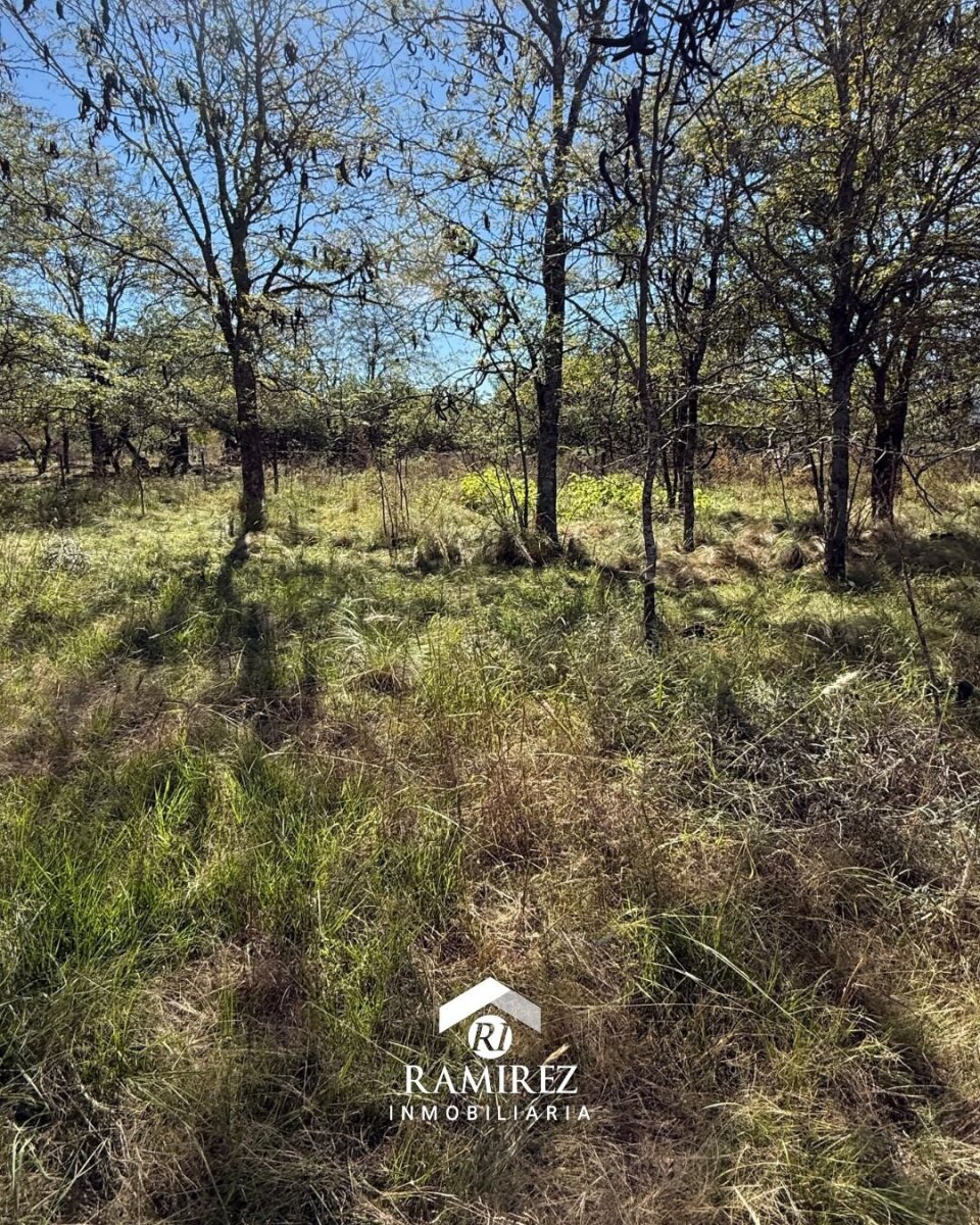 LOTE EN VENTA – SAN IGNACIO (LT98) - Imagen 5