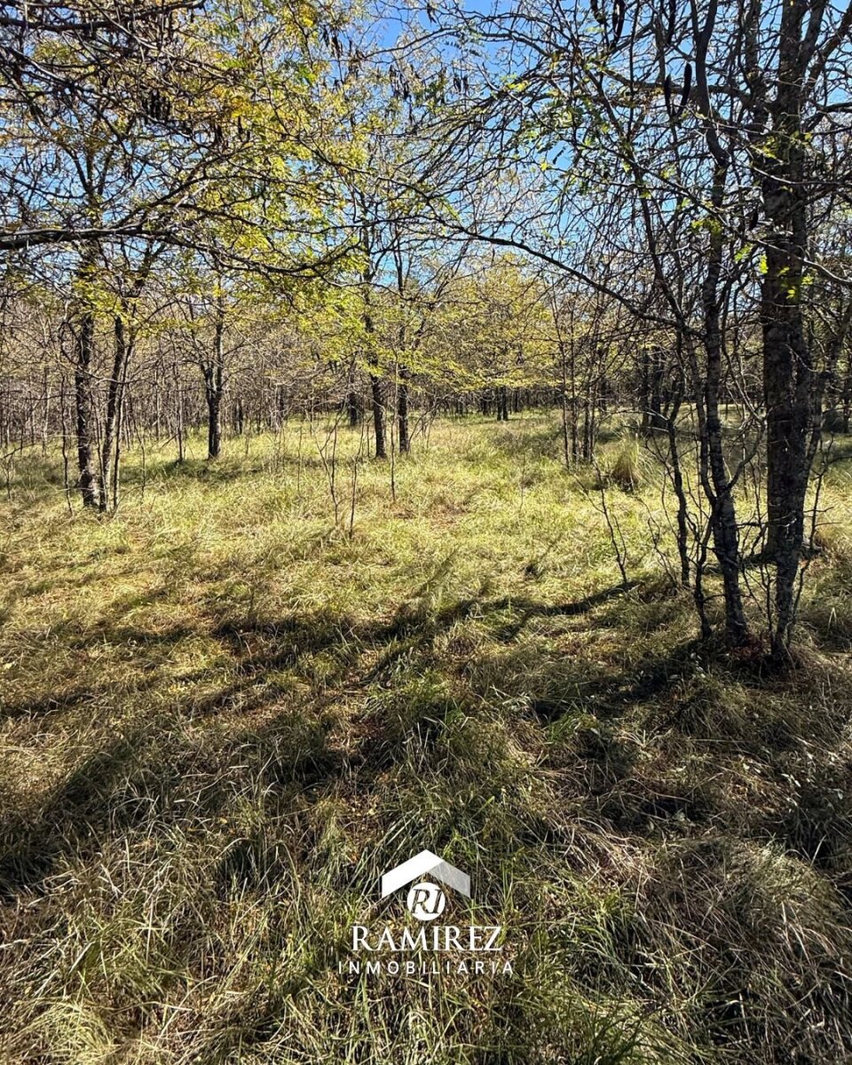 LOTE EN VENTA – SAN IGNACIO (LT98) - Imagen 6