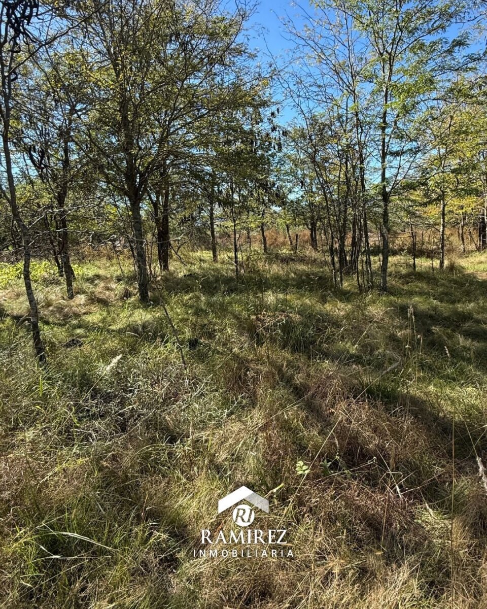 LOTE EN VENTA – SAN IGNACIO (LT98) - Imagen 4