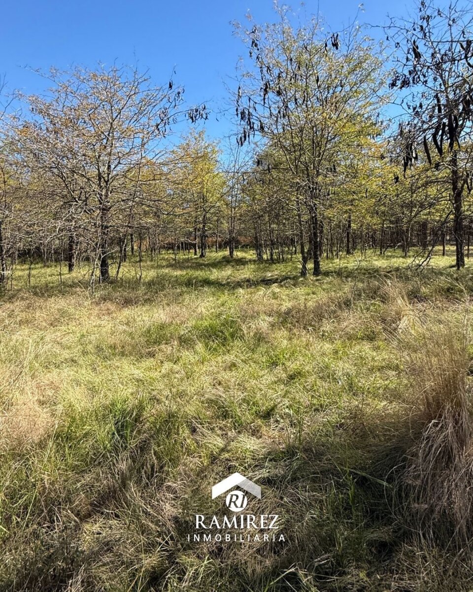 LOTE EN VENTA – SAN IGNACIO (LT98)
