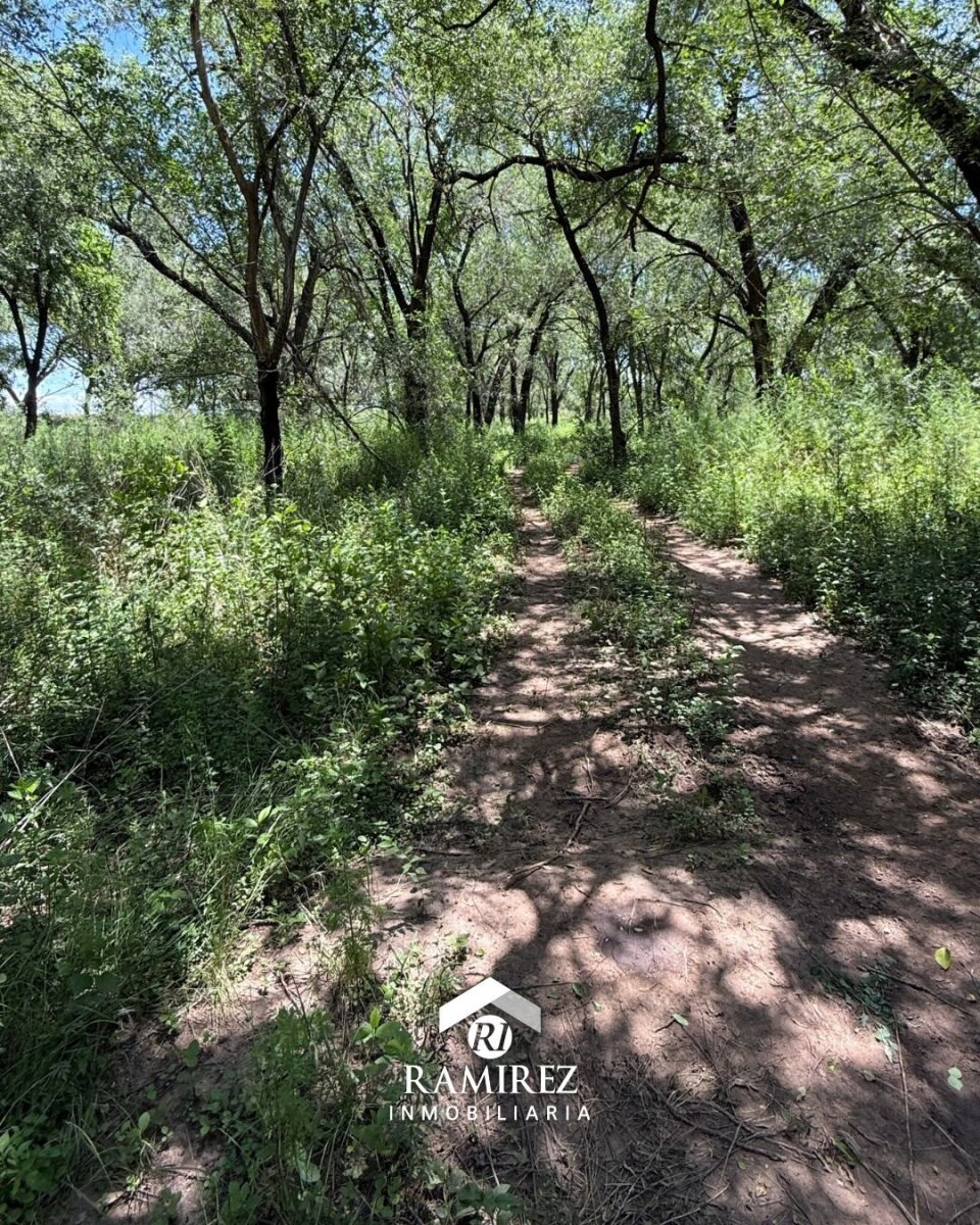 LOTE EN VENTA – SAN IGNACIO (COD LT94)