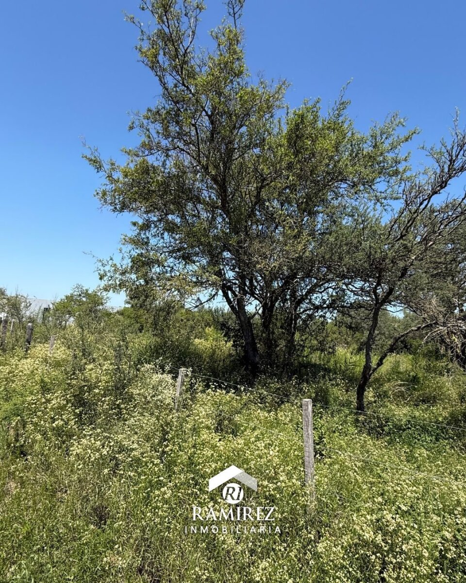 LOTE EN VENTA – SAN IGNACIO (COD LT91)