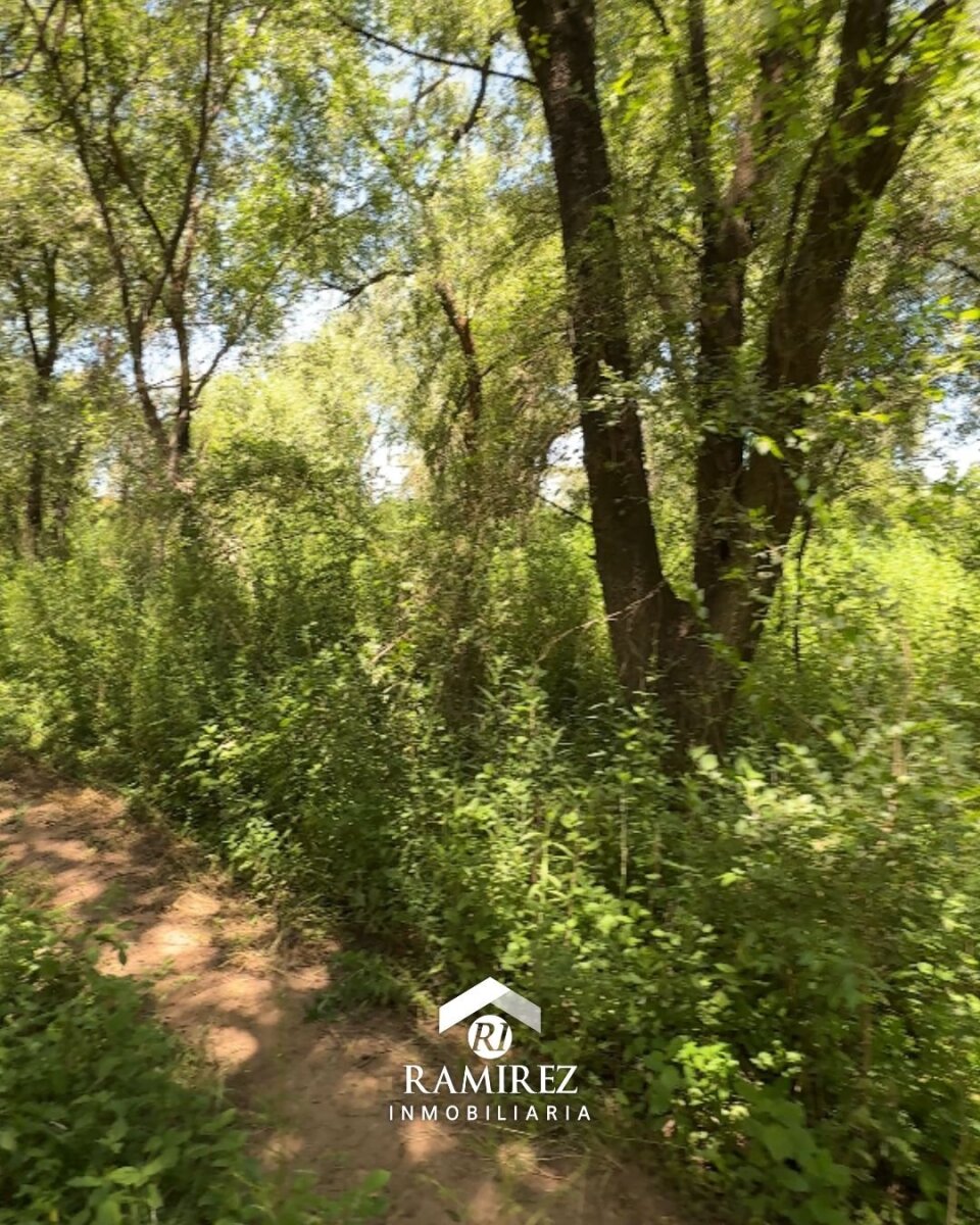 LOTE EN VENTA – SAN IGNACIO (COD LT93)