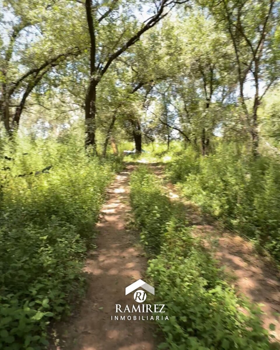 LOTE EN VENTA – SAN IGNACIO (COD LT93) - Imagen 2