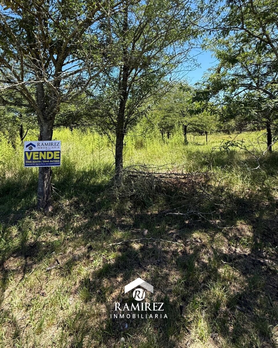 LOTES EN VENTA – SANTA ROSA DE CALAMUCHITA (LT95) - Imagen 5