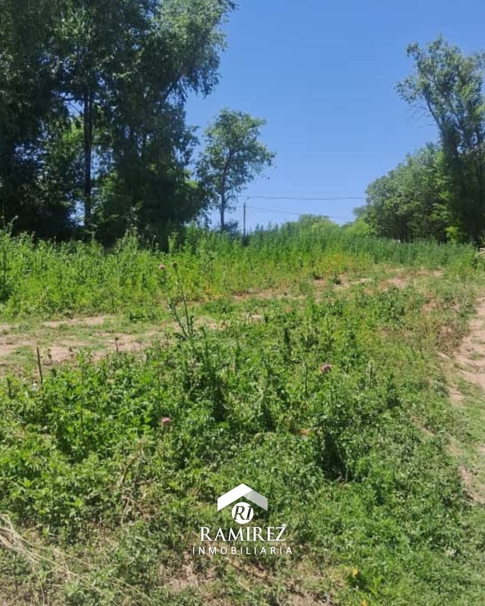 Lote en venta — Santa Rosa de Calamuchita (LT79) - Imagen 4