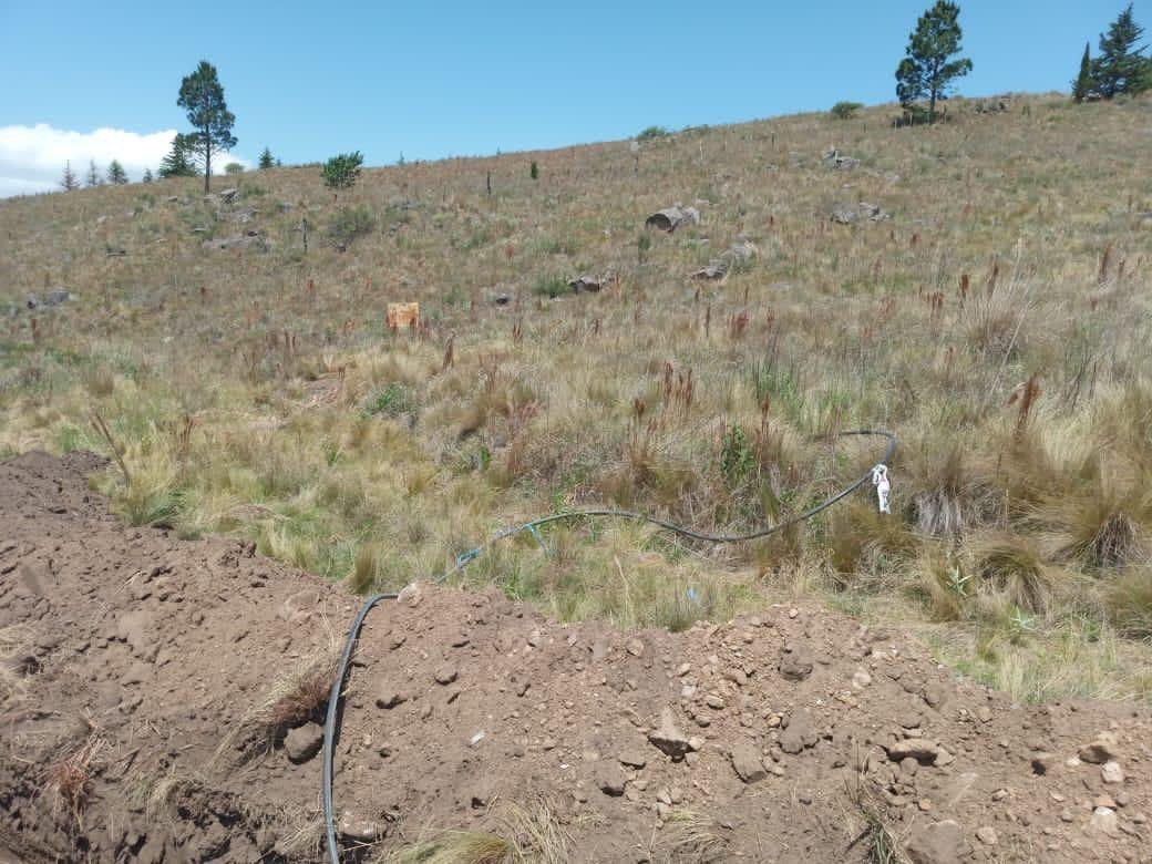 Lote en venta — Los Reartes (TE127) - Imagen 6