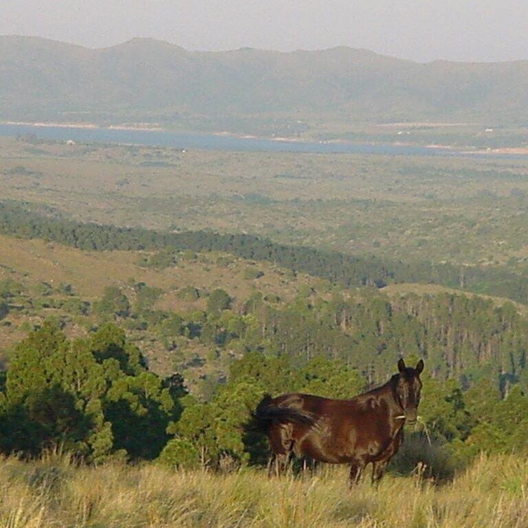Lote en venta — Los Reartes (TE127)