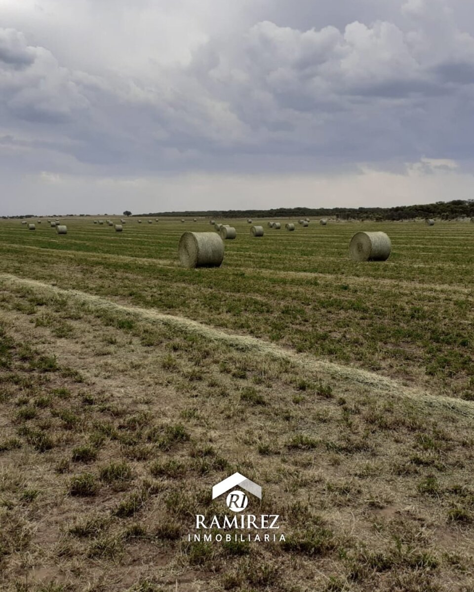 CP12 - Campo en Venta San Luis, Gobernador Dupuy (1.215 ha)