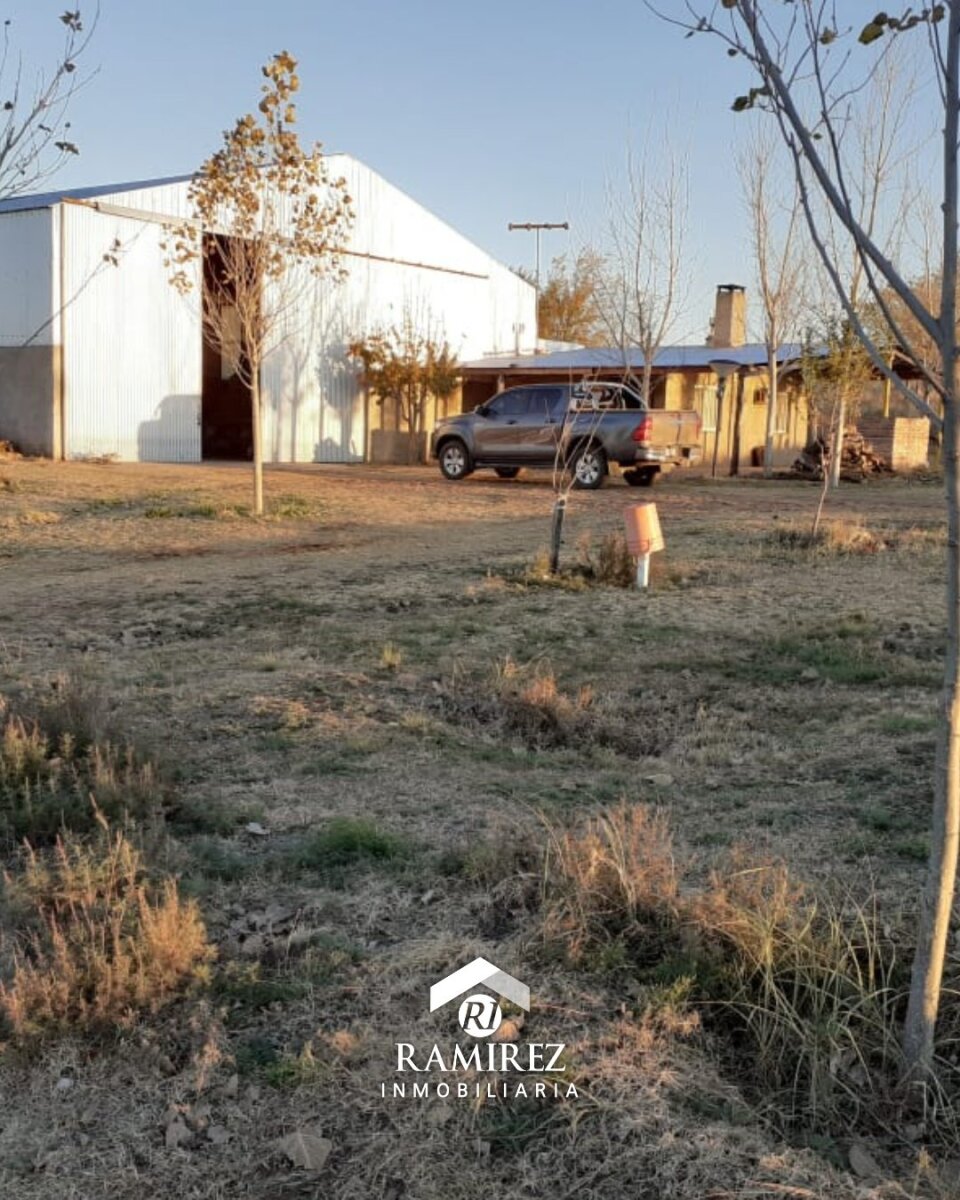 CP12 - Campo en Venta San Luis, Gobernador Dupuy (1.215 ha) - Imagen 4
