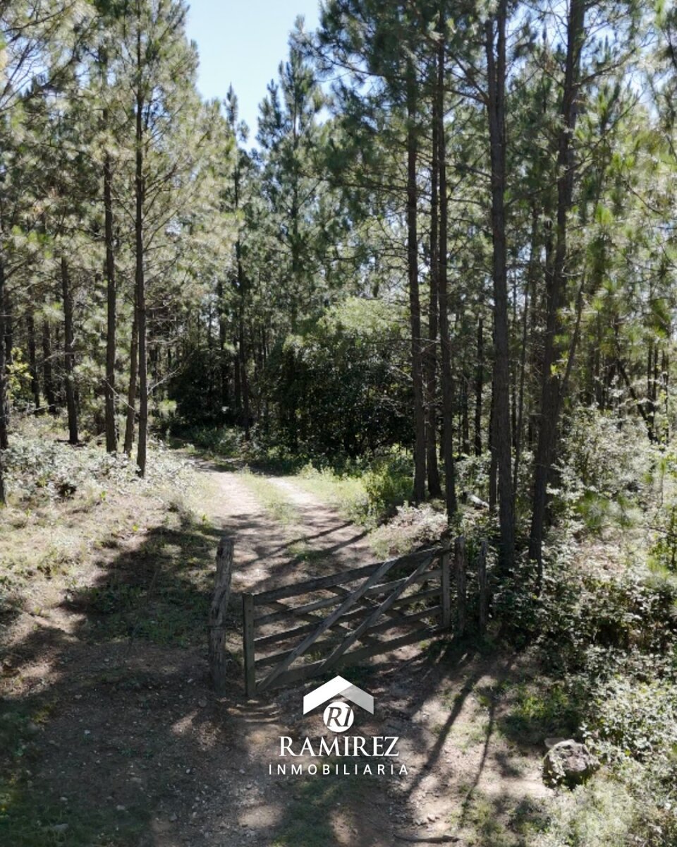 CP7 - Campo en Venta Intiyaco (3,44 ha) - Imagen 4