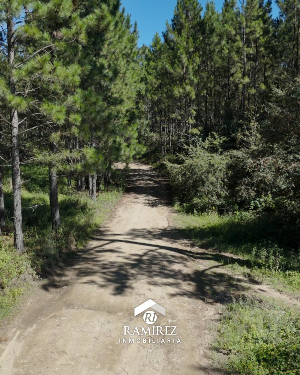 CP7 - Campo en Venta Intiyaco (3,44 ha)
