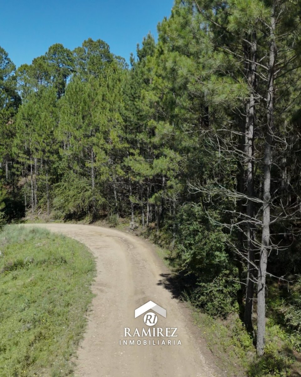CP7 - Campo en Venta Intiyaco (3,44 ha) - Imagen 2
