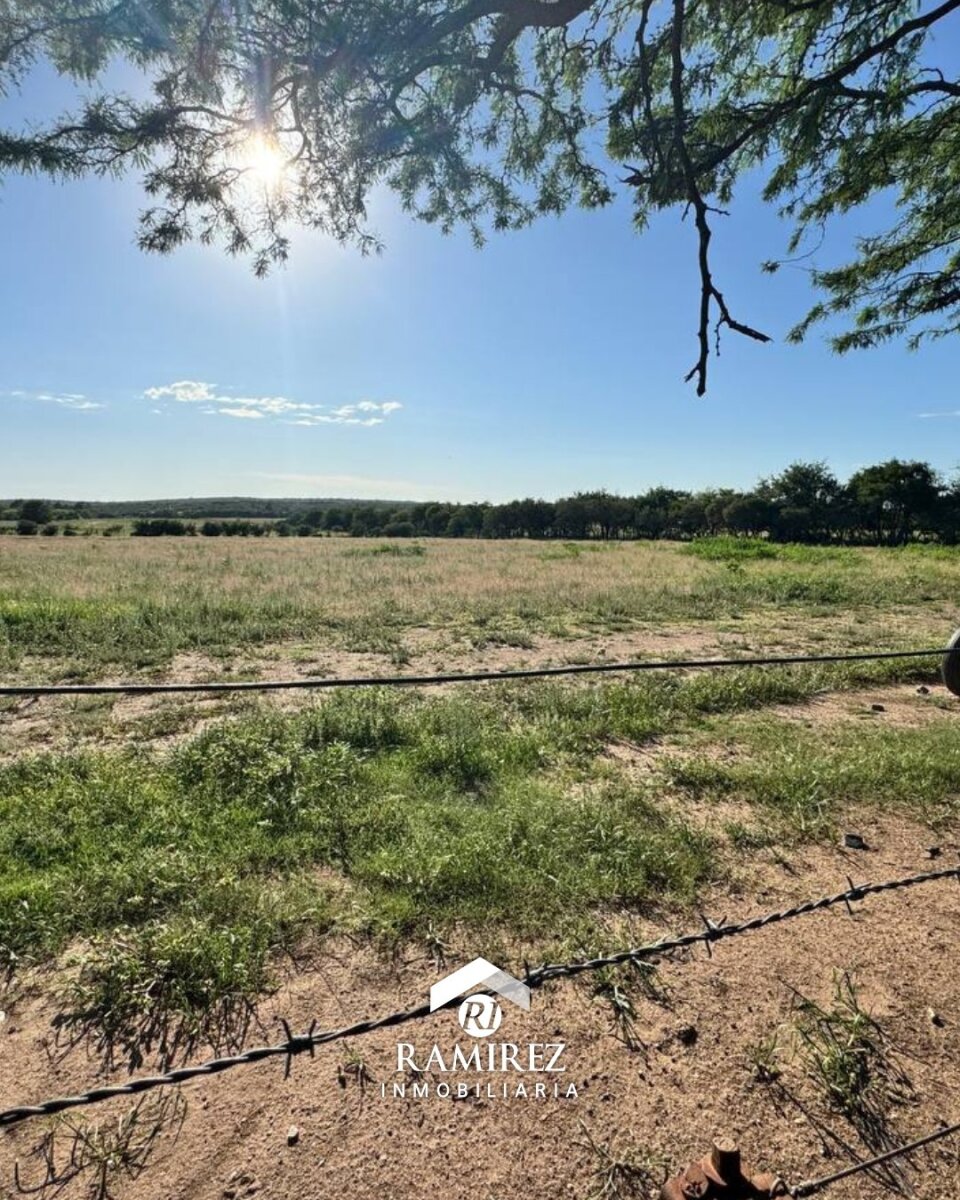 CP5 - Campo en Venta Embalse (2 ha) - Imagen 2