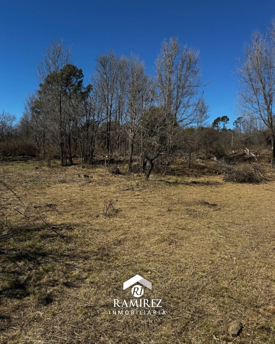 LT55 - Lote 2 en Venta Santa Rosa de Calamuchita (La Olla) - Imagen 5