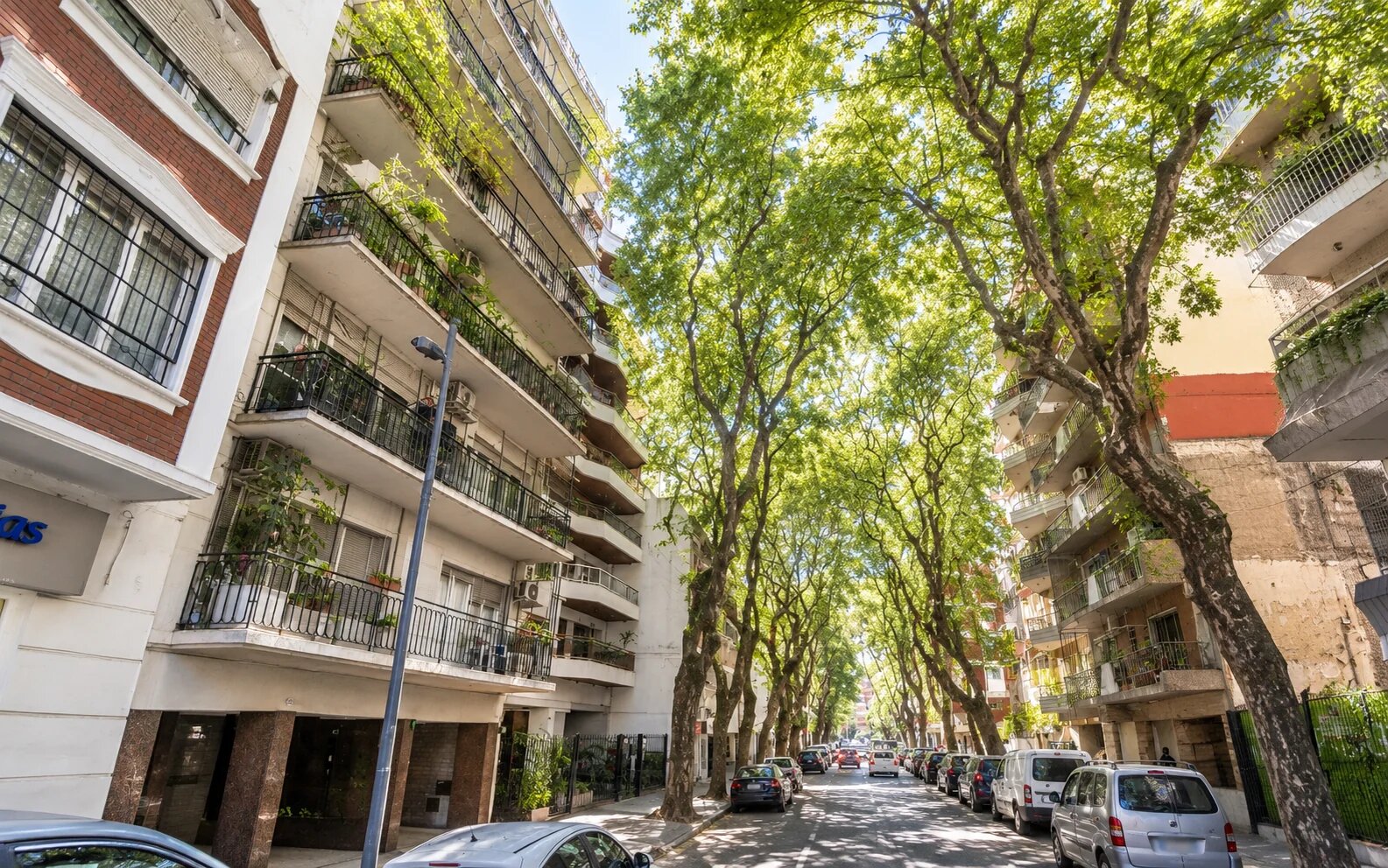 Capital Federal virrey del pino al 2300