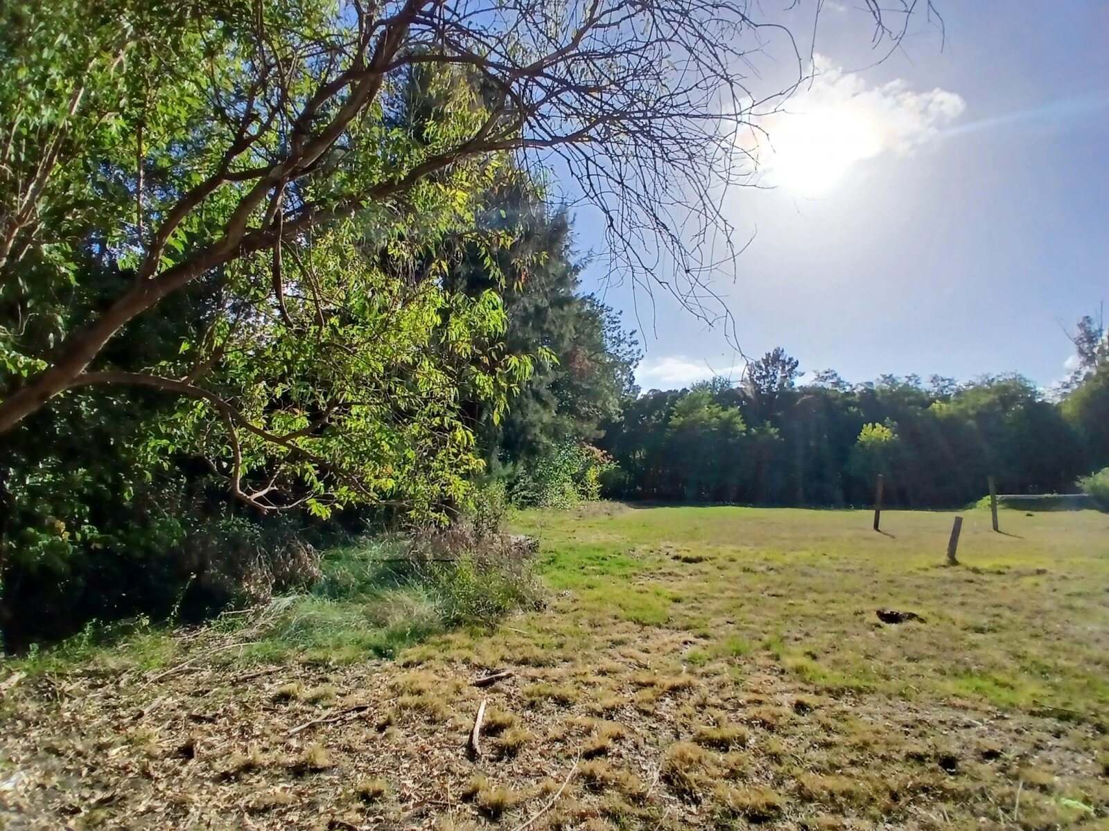 Lote en Venta en Presidente Peron, G.B.A. Zona Sur