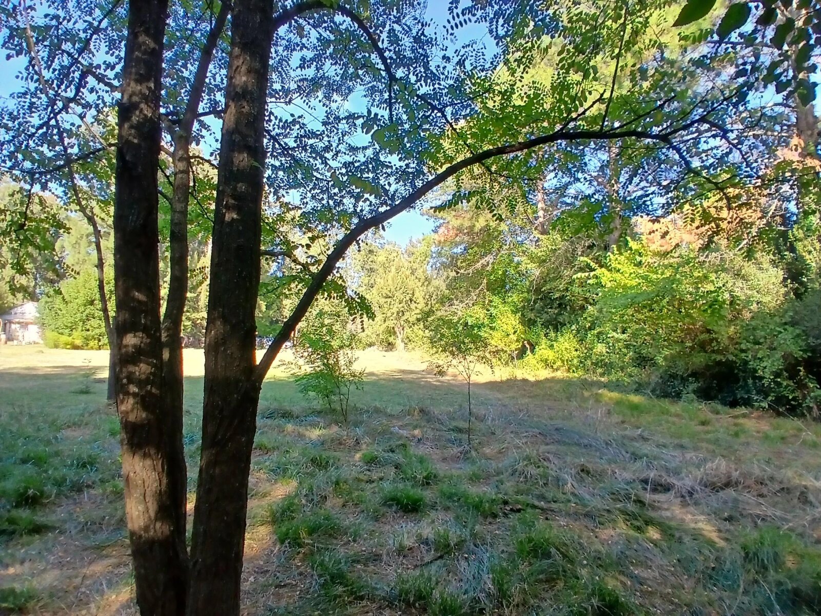 Lote en Venta en Presidente Peron, G.B.A. Zona Sur