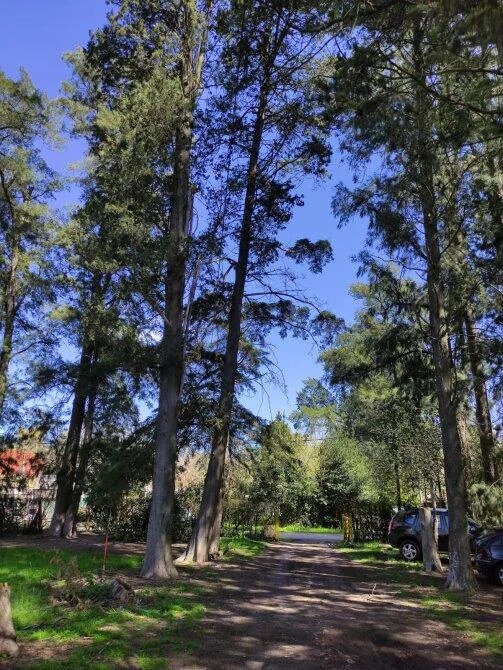 Lote en Venta en Presidente Peron, G.B.A. Zona Sur