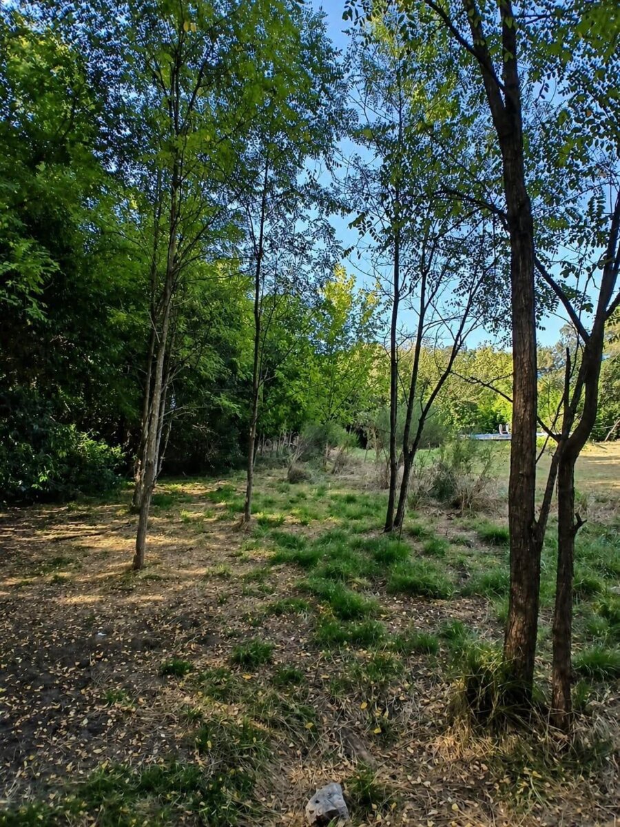 Lote en Venta en Presidente Peron, G.B.A. Zona Sur