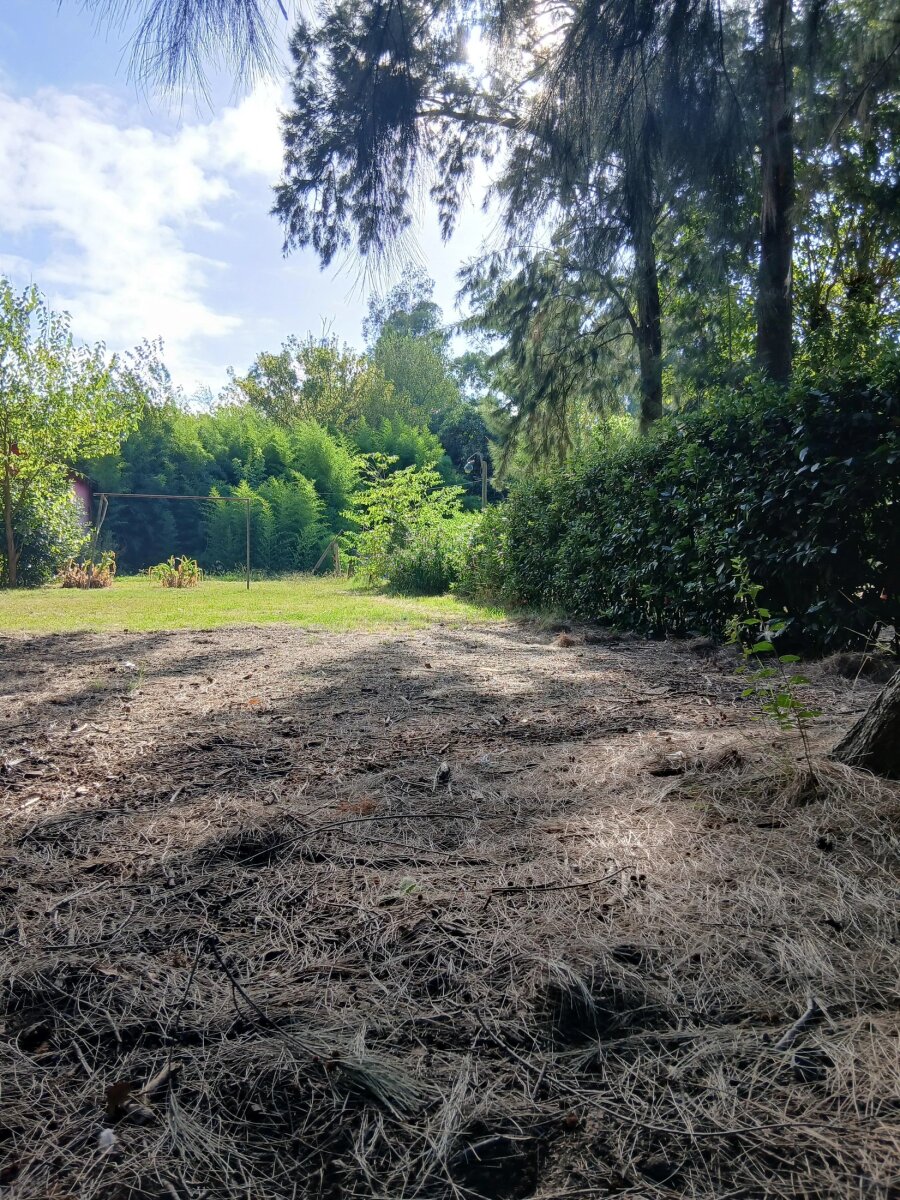 Lote en Venta en Presidente Peron, G.B.A. Zona Sur