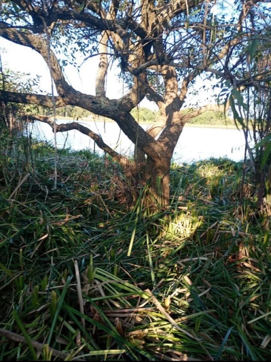 Lote en Venta en Tigre, G.B.A. Zona Norte