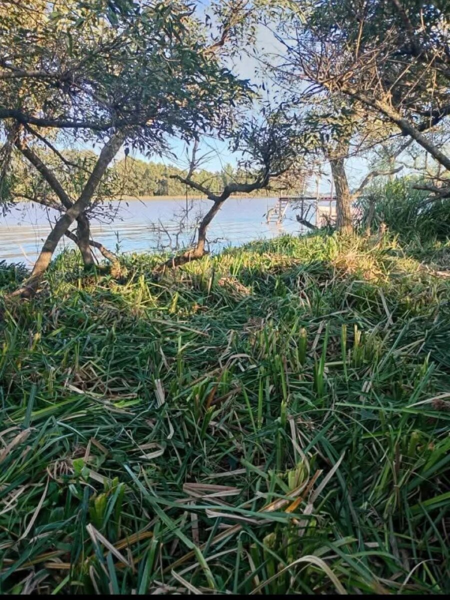 Lote en Venta en Tigre, G.B.A. Zona Norte
