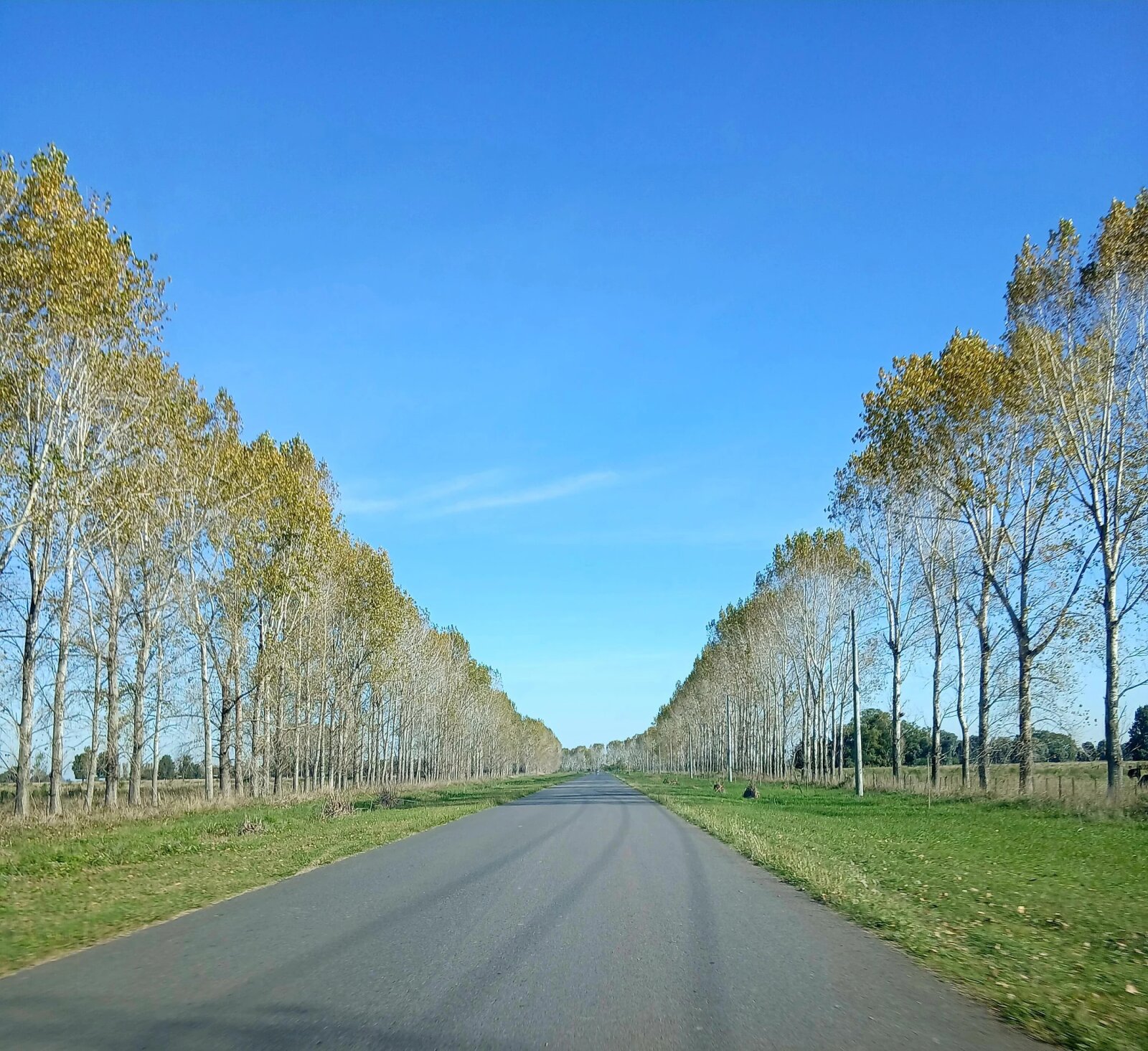 Lote en Venta en Ezeiza, G.B.A. Zona Sur