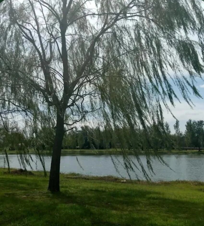 Lote en Venta en Monte, Buenos Aires Interior