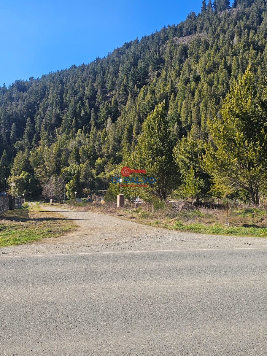 Lotes sobre ruta ingreso a Lago Puelo - 2