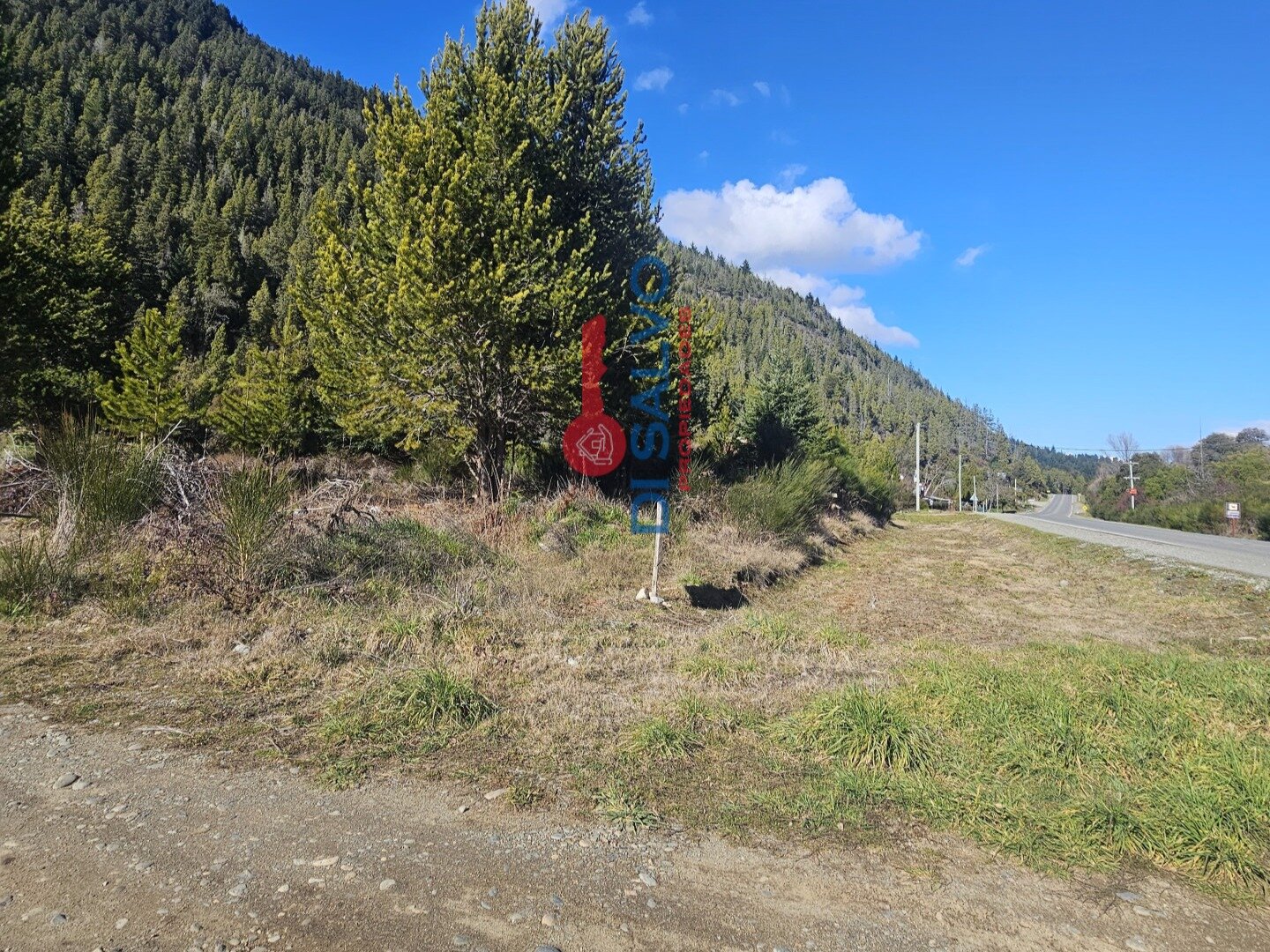 Lotes sobre ruta ingreso a Lago Puelo - 10