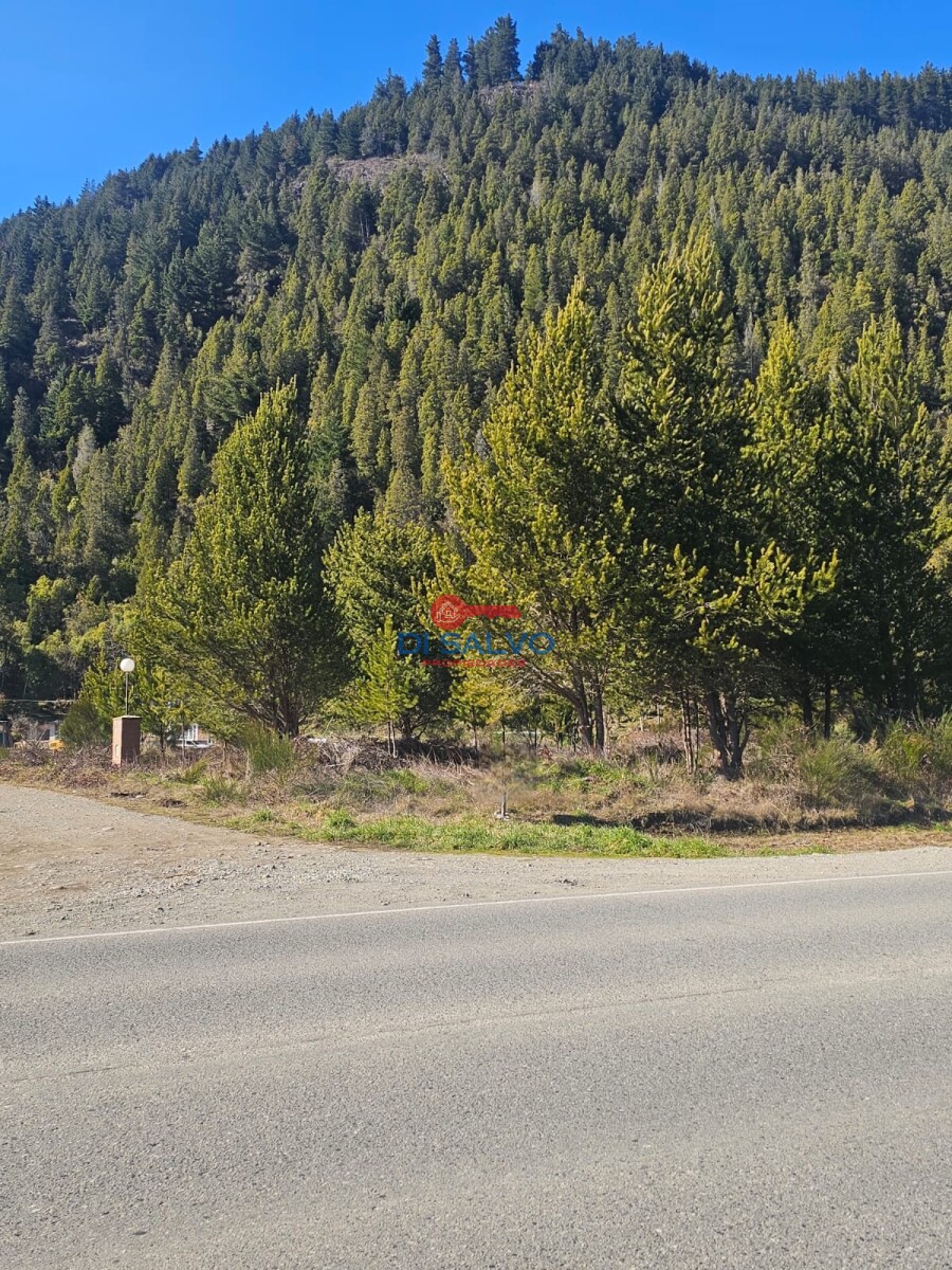 Lotes sobre ruta ingreso a Lago Puelo - 1