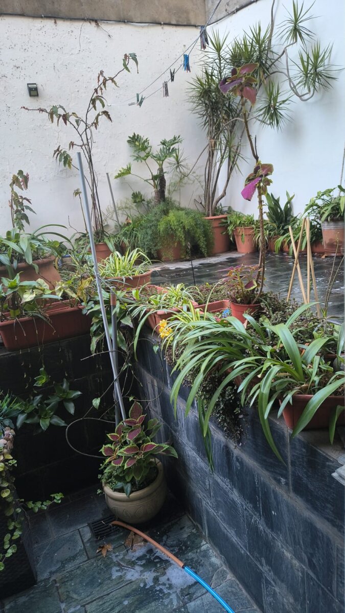 Departamentos dos dormitorios con amplio patio - 4