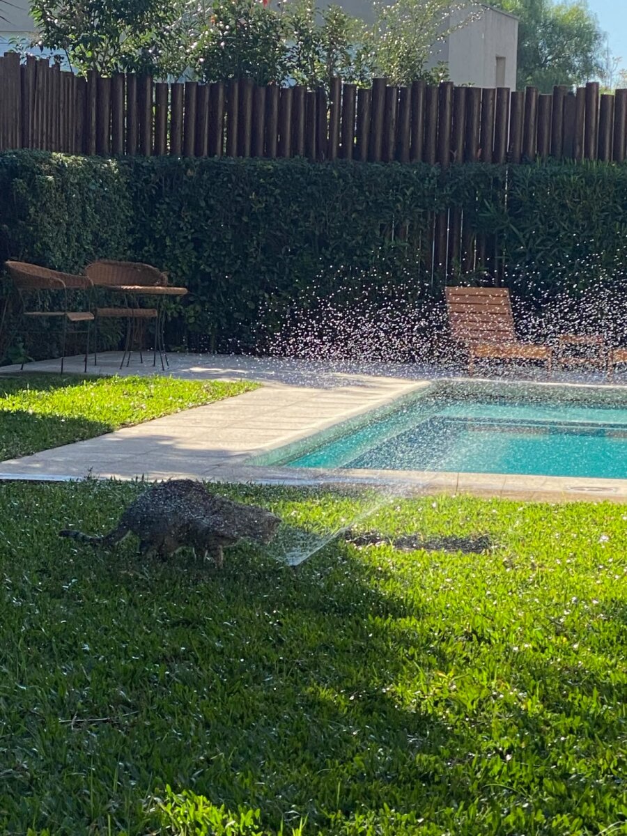 ALQUIL ER CASA PREMIUM EN LA RESERVA - Imagen 16