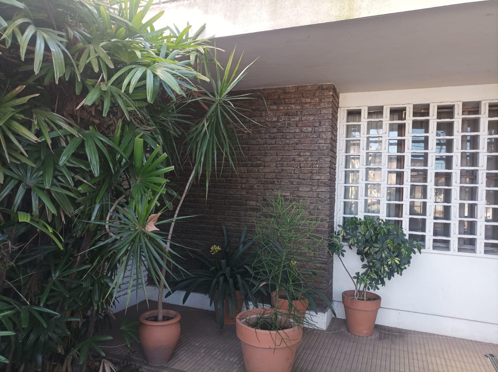 AV. GENOVA 978 - 3 DORMITORIOS - 39