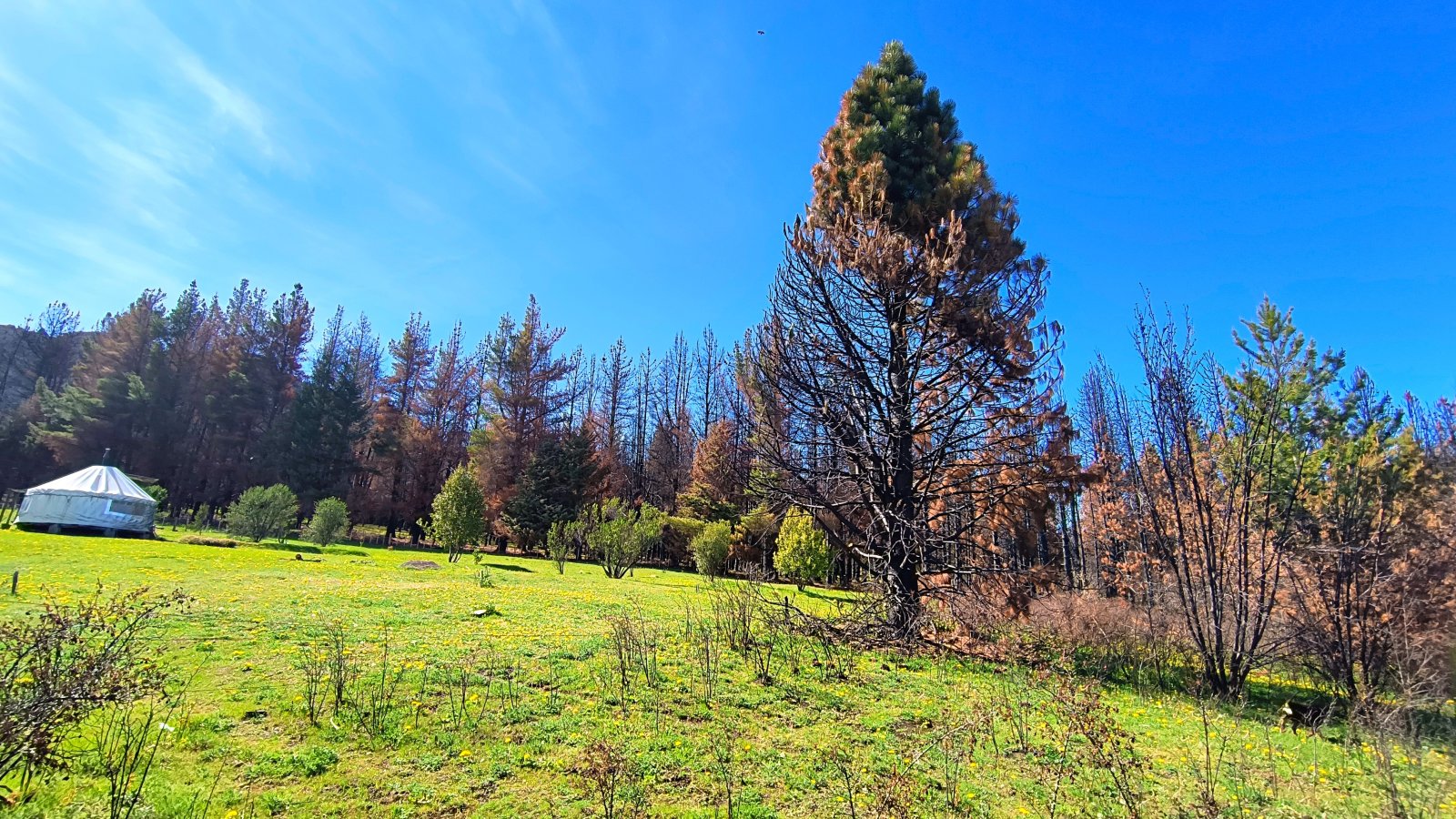 (040) TERRENO en Mallin Alto de 1/2 Hectárea - 7