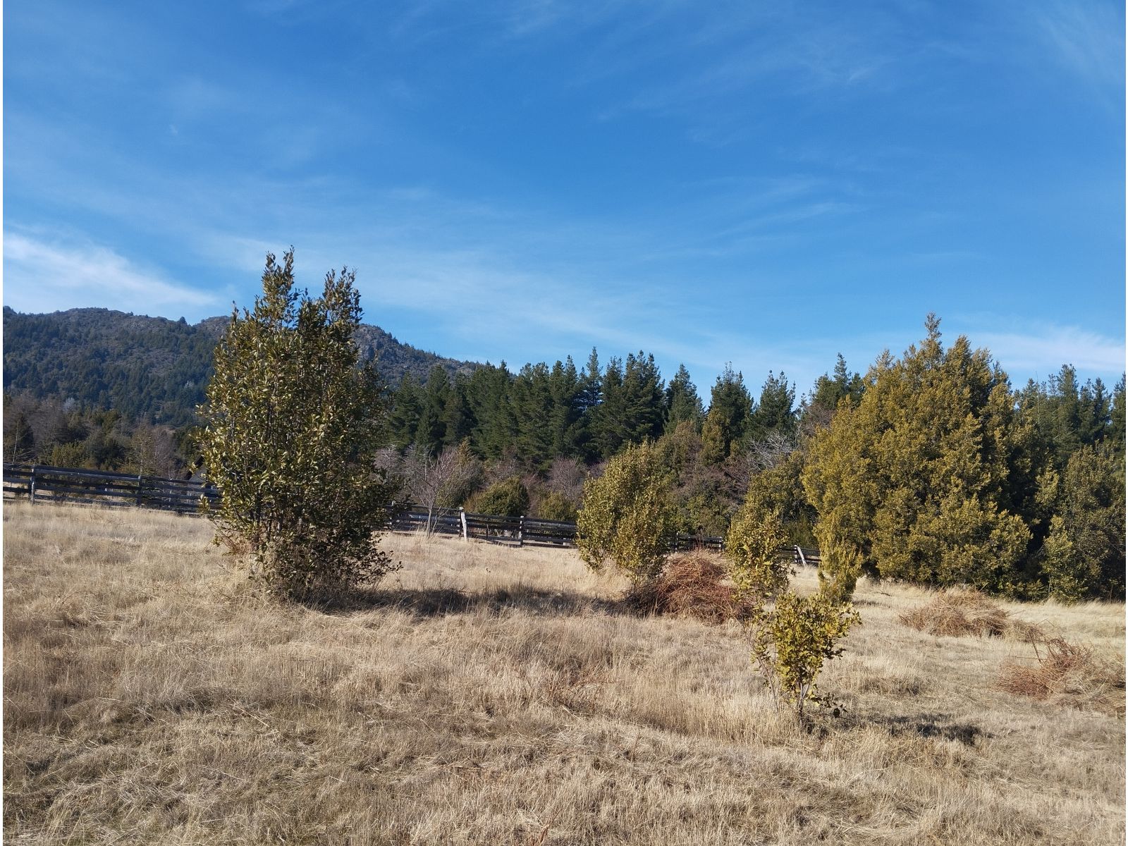 (040) TERRENO en Mallin Alto de 1/2 Hectárea - 9