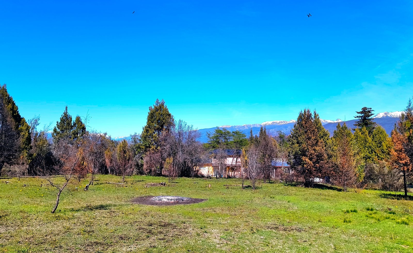 (040) TERRENO en Mallin Alto de 1/2 Hectárea - 2