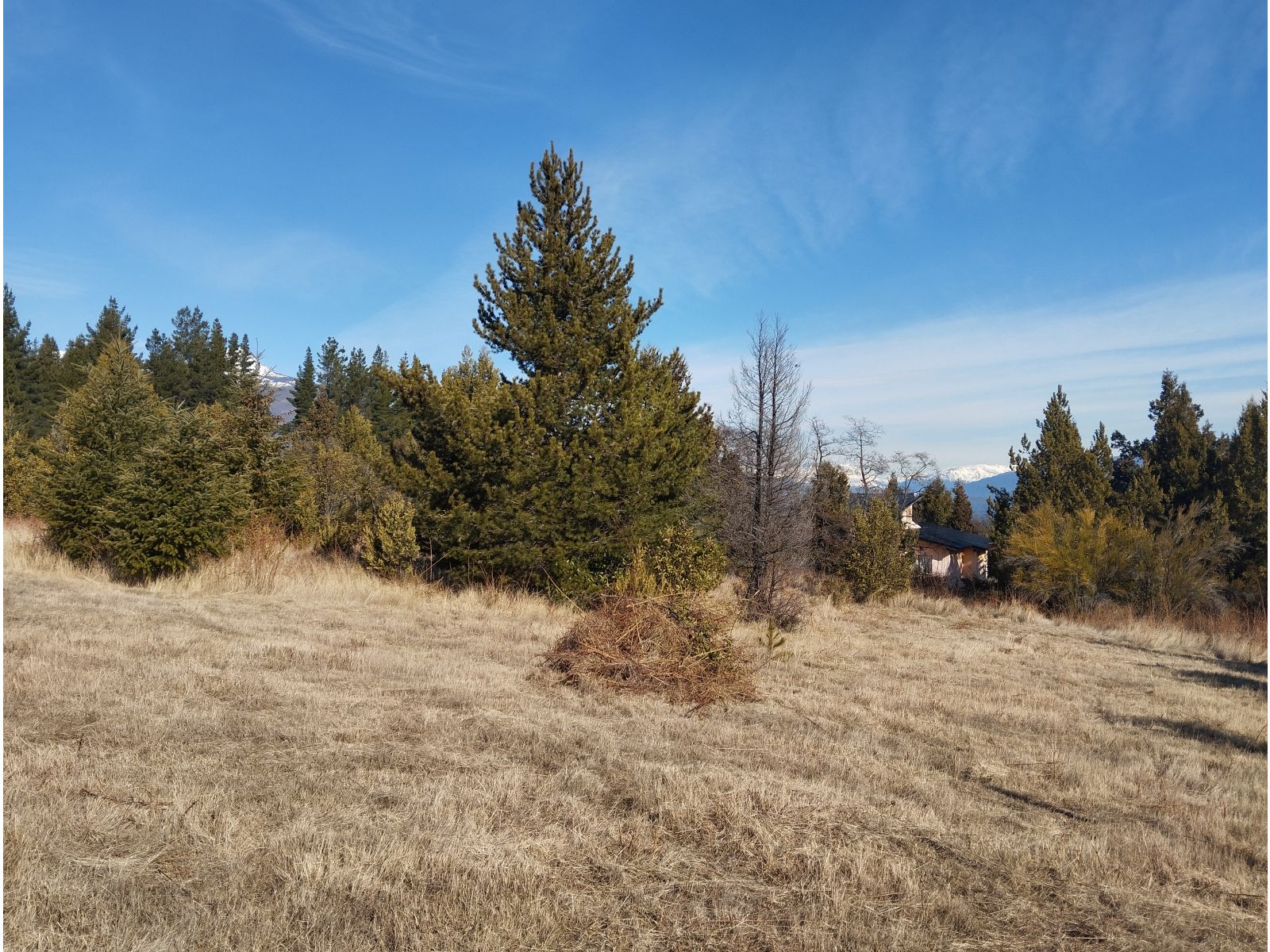 (040) TERRENO en Mallin Alto de 1/2 Hectárea - 12