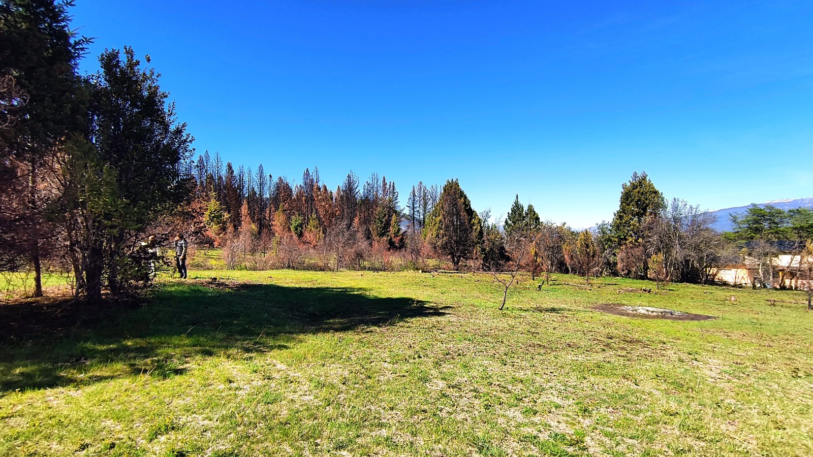 (040) TERRENO en Mallin Alto de 1/2 Hectárea - 5
