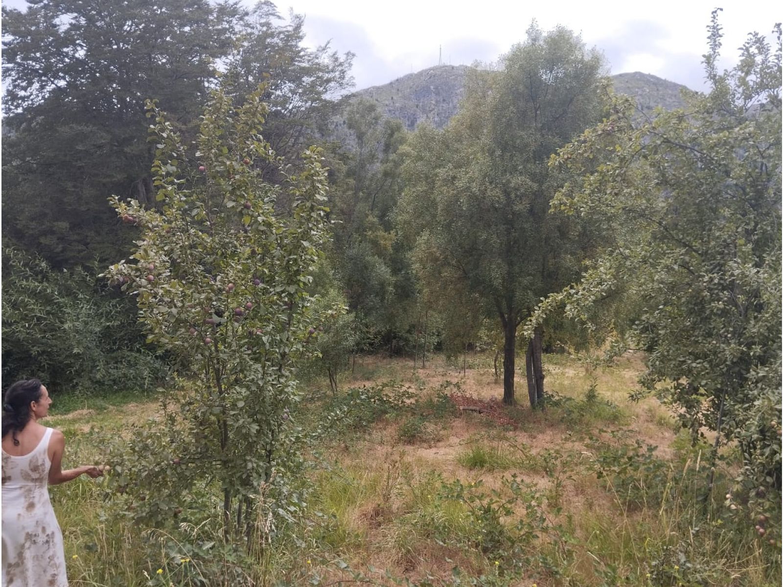 (014) LAGO PUELO (Isla Norte) Terreno 550 m2 - 3