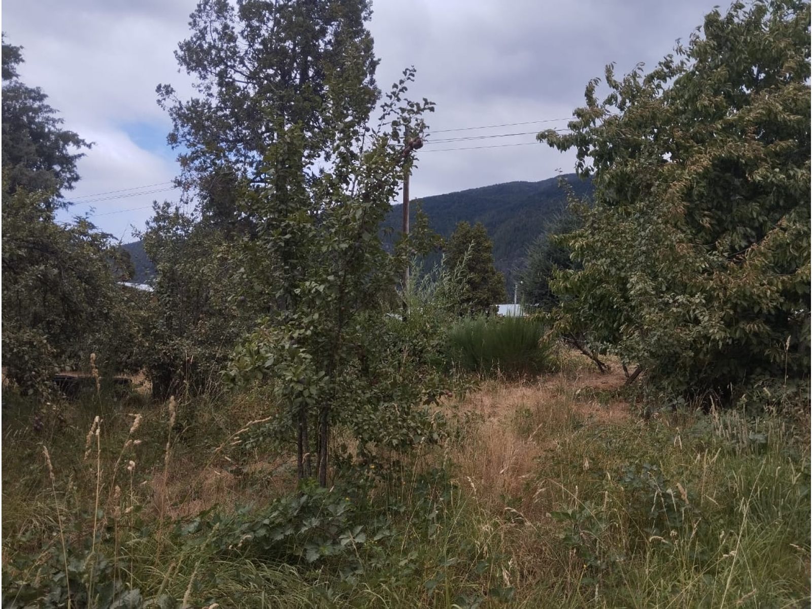 (014) LAGO PUELO (Isla Norte) Terreno 550 m2 - 4