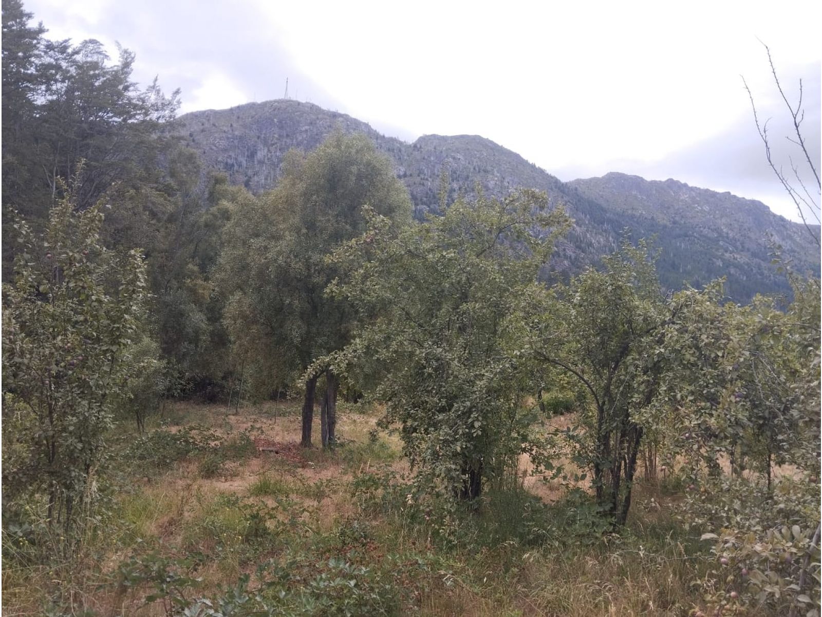 (014) LAGO PUELO (Isla Norte) Terreno 550 m2 - 6