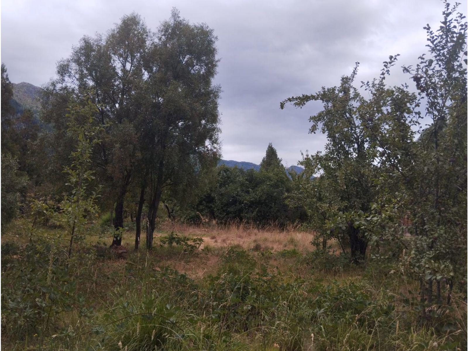 (014) LAGO PUELO (Isla Norte) Terreno 550 m2 - 5