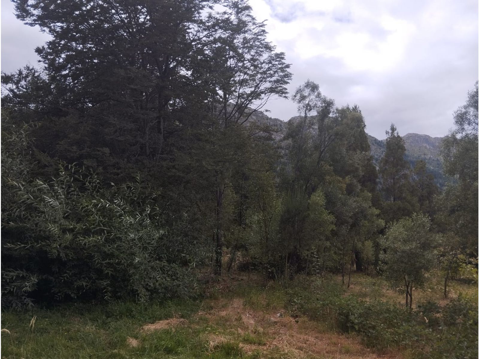 (014) LAGO PUELO (Isla Norte) Terreno 550 m2 - 9