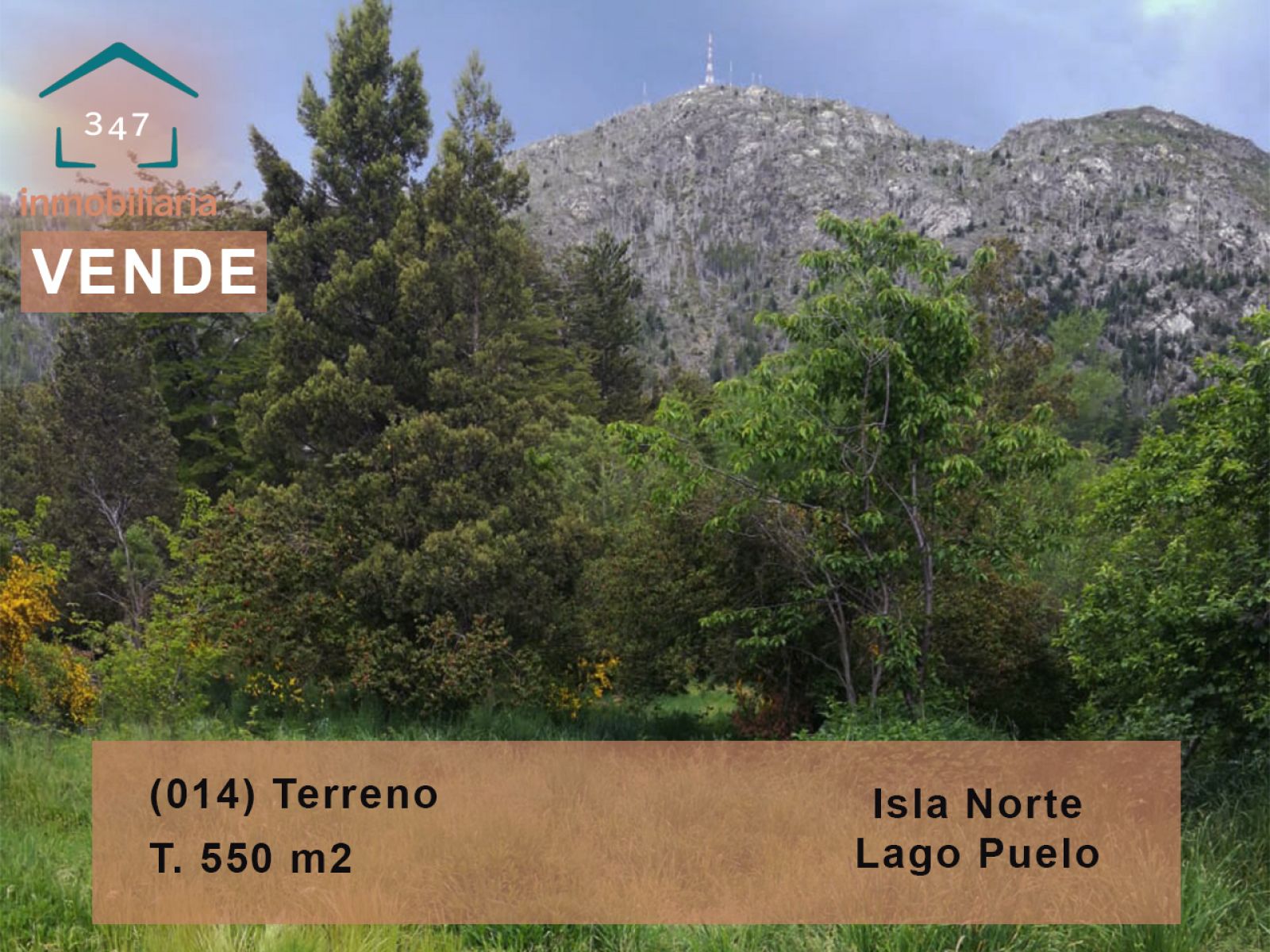 (014) LAGO PUELO (Isla Norte) Terreno 550 m2 - 1
