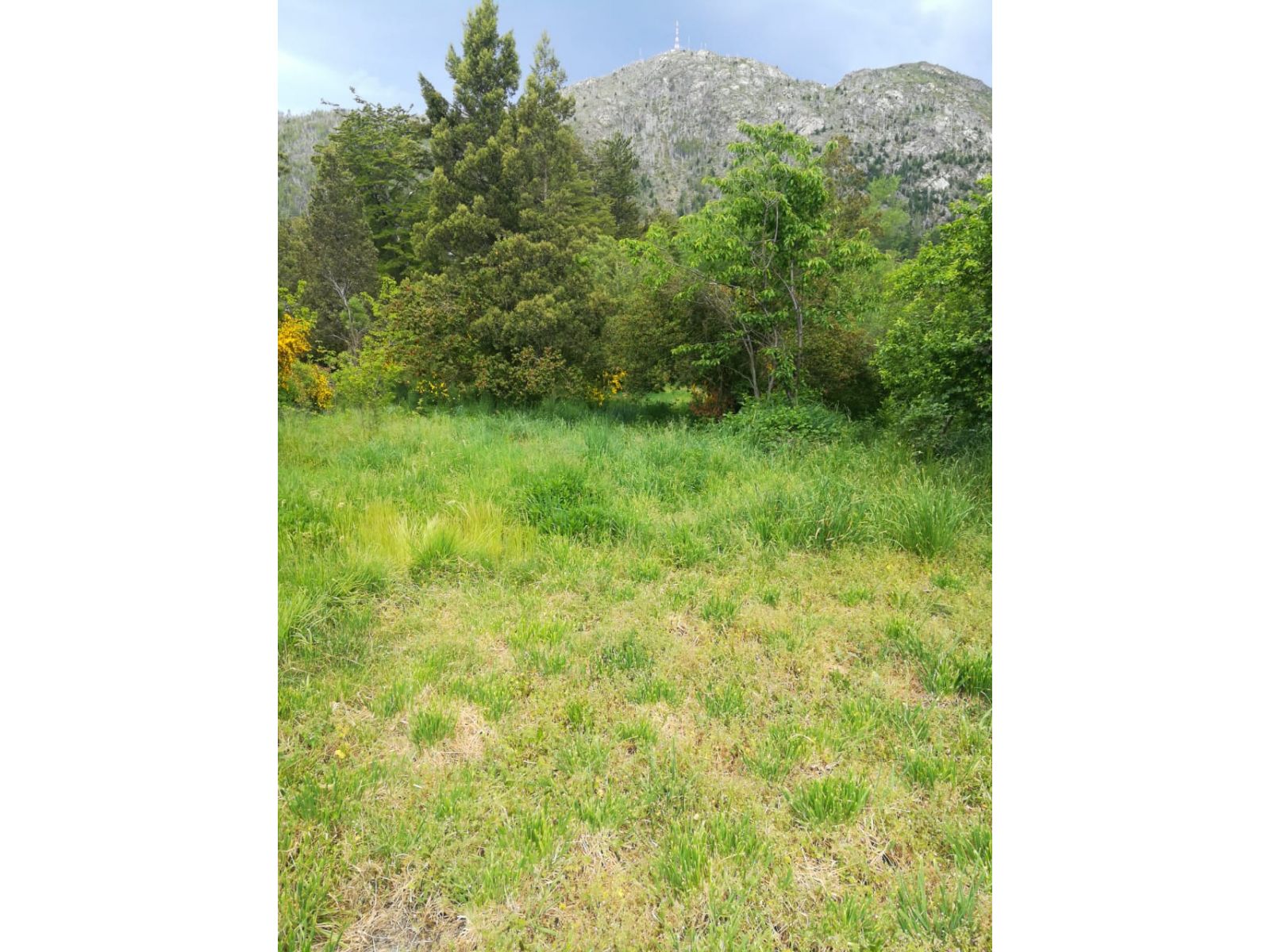 (014) LAGO PUELO (Isla Norte) Terreno 550 m2 - 12